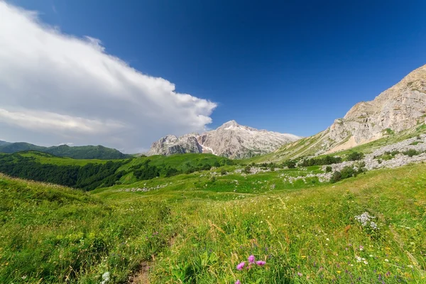 Norra Kaukasus北のコーカサス — ストック写真