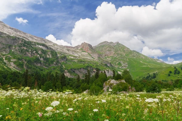 Kuzey Kafkasya — Stok fotoğraf