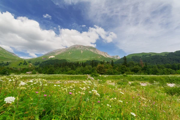 Kuzey Kafkasya — Stok fotoğraf