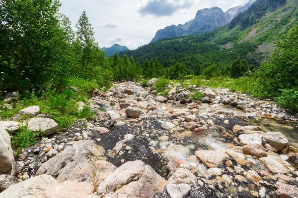 Brook, észak-kaukázusi. — Stock Fotó