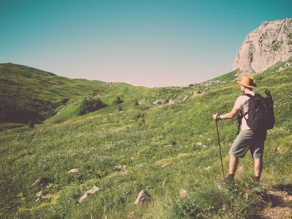 Male hiker with backpack — Stock Photo, Image