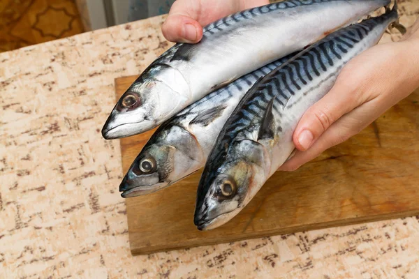 Nainen kokki viipaloi kala mackrel puulaudalla — kuvapankkivalokuva