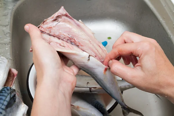 Женщина-повар чистит рыбную скумбрию в воде — стоковое фото