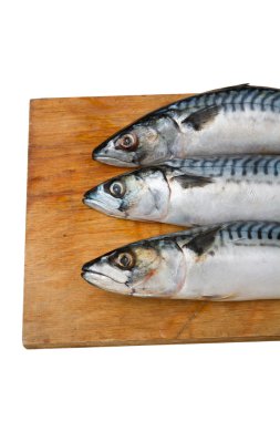 İzole bir ahşap tahta üzerinde üç uskumru