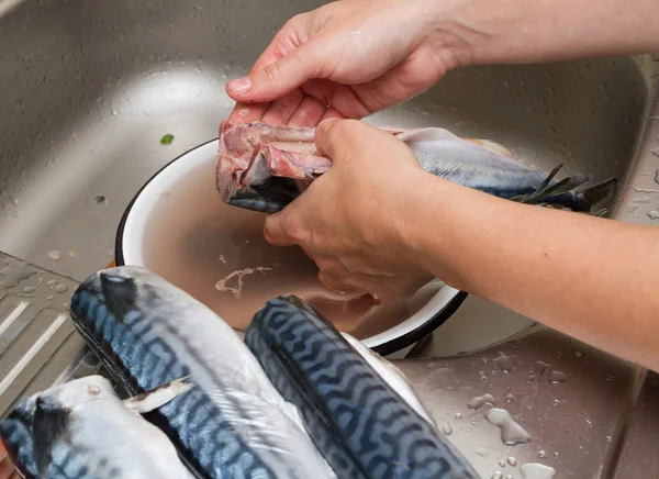 Женщина-повар чистит рыбную скумбрию в воде — стоковое фото