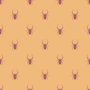 Bir örümcek ile kesintisiz geometrik desen.