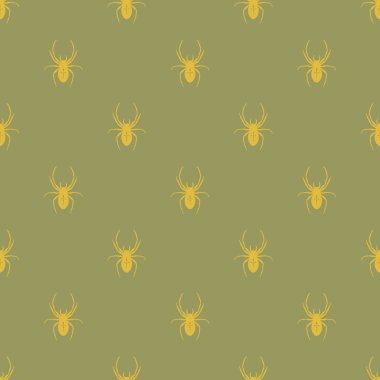 Bir örümcek ile kesintisiz geometrik desen.