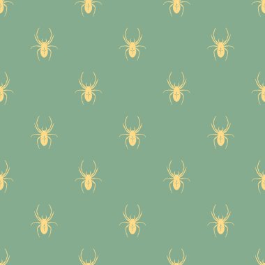 Bir örümcek ile kesintisiz geometrik desen.