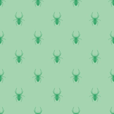 Bir örümcek ile kesintisiz geometrik desen.