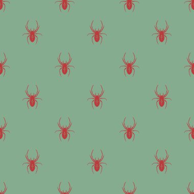 Bir örümcek ile kesintisiz geometrik desen.