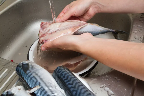 Žena šéfkuchař čistí ryb makrela ve vodě — Stock fotografie