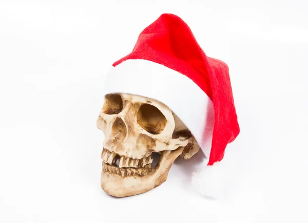 Забавный череп в шляпе Санта-Клаус изолированы на белом фоне . — стоковое фото