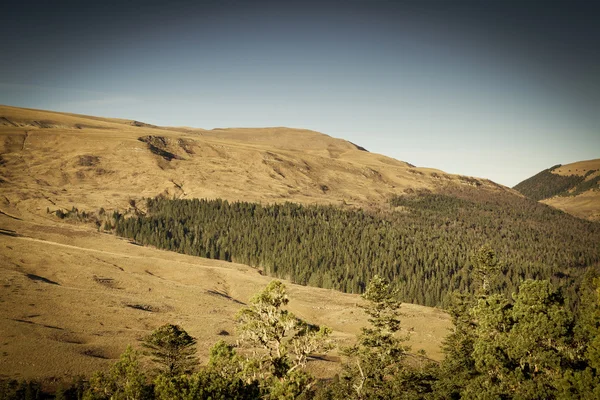 Vackert Höstlandskap. Berg skog ängar. — Stockfoto