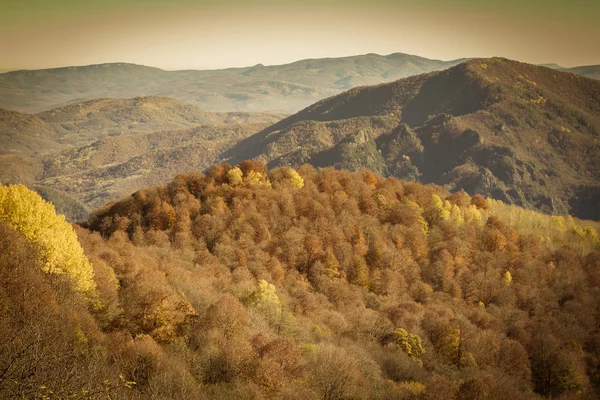 Kleurrijke herfst in de bergen en valleien — Stockfoto