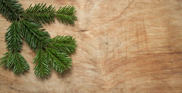 Boże Narodzenie zielony świerk gałązka na drewniane stary tło rustykalne. — Zdjęcie stockowe