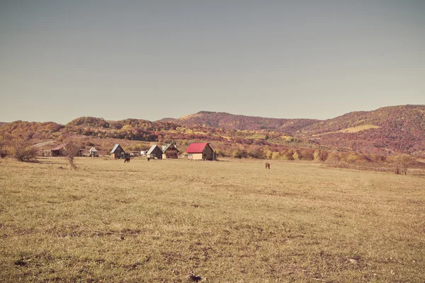 Paisagem de outono rural nas montanhas . — Fotografia de Stock