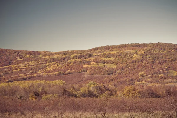 Barevný podzim v horách a údolí — Stock fotografie