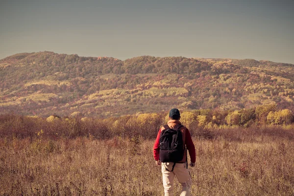 Touriste masculin avec sac à dos sotret à l'horizon en automne — Photo