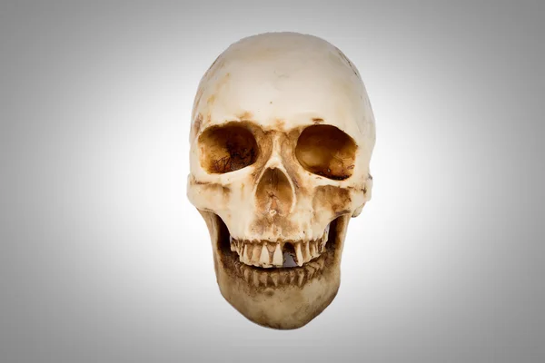 Vieux crâne humain isolé sur fond blanc . — Photo