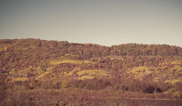 Autunno colorato tra montagne e valli — Foto Stock