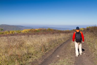 Sırt çantası ile erkek turist kırsal bir yolda olduğunu