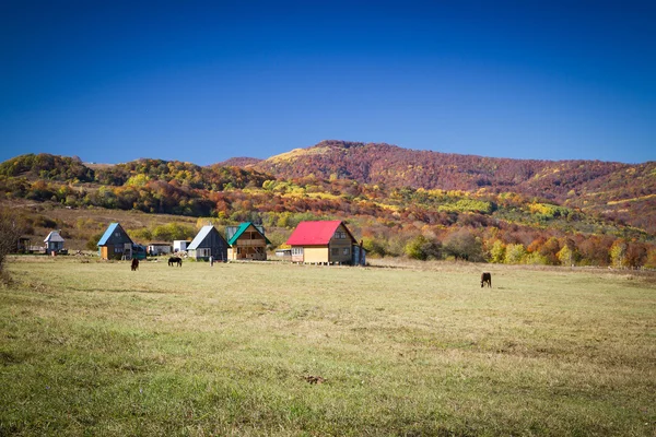 Сельский осенний пейзаж в горах . — стоковое фото