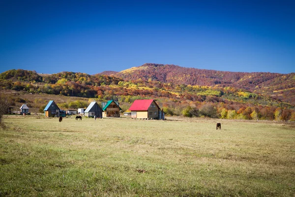 Paisaje rural otoñal en las montañas . — Foto de Stock