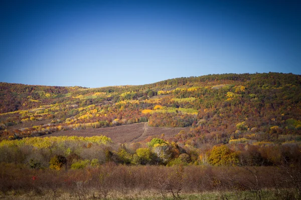 Színes őszi-, a hegyek és a völgyek — Stock Fotó