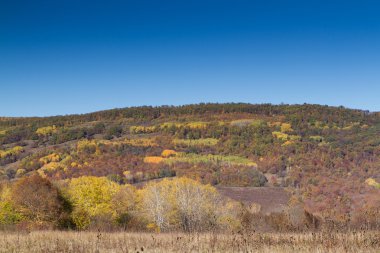 Dağlar ve vadiler renkli sonbahar
