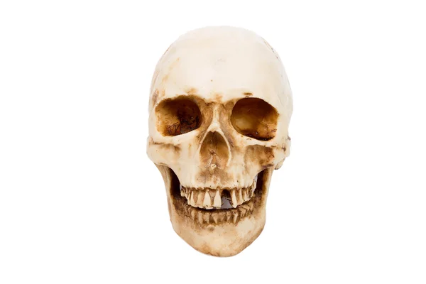 Viejo cráneo humano aislado sobre fondo blanco . —  Fotos de Stock