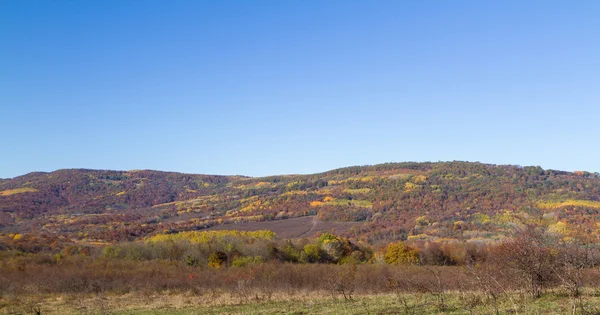 Colorido otoño en las montañas y valles —  Fotos de Stock