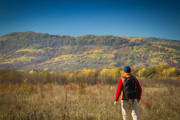 Touriste masculin avec sac à dos sotret à l'horizon en automne — Photo