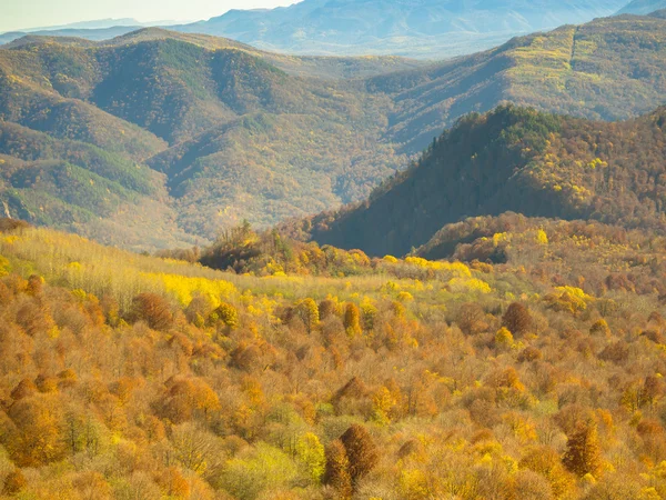 Барвиста осінь в горах і долинах — стокове фото