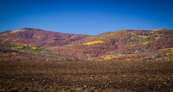 Kleurrijke herfst in de bergen en valleien — Stockfoto