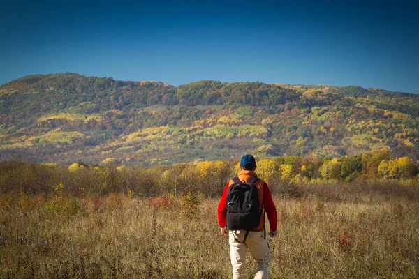 Male tourist with backpack sotret on the horizon in autumn — Stock Photo, Image