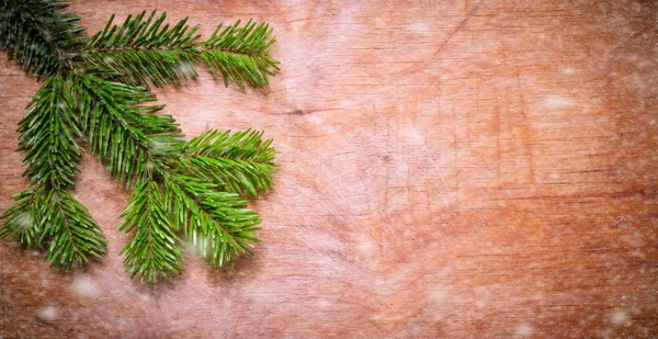 Kerstmis groene sparren twig op houten oude rustieke achtergrond. — Stockfoto