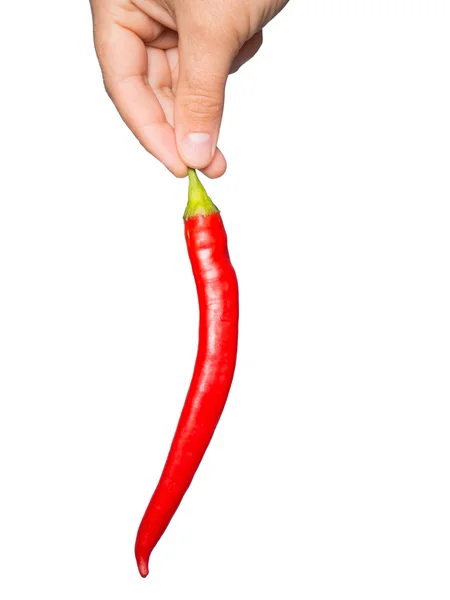 Hot chili pieprz w ręku — Zdjęcie stockowe