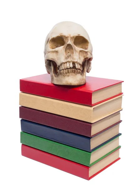 Calavera de persona y libro . —  Fotos de Stock