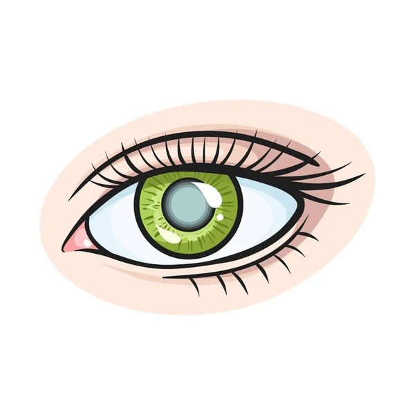 目と視力のロゴのベクトルイラスト。株式の眼と診断ベクトルのアイコンのグラフィック. — ストックベクタ