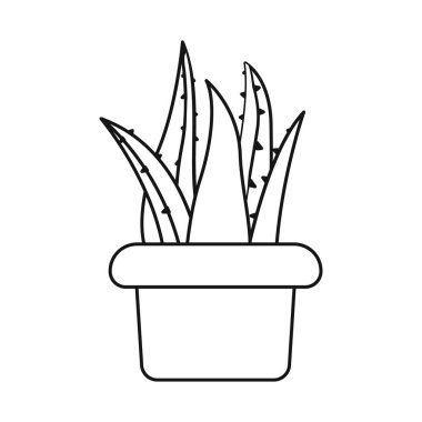 Aloe ve tencere ikonunun vektör çizimi. Web için aloe ve kaktüs stok sembolü grafiği.