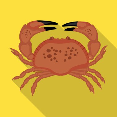 Deniz Yengeci vektör simgesi. Beyaz arkaplan yengeci üzerinde izole edilmiş düz vektör simgesi. .