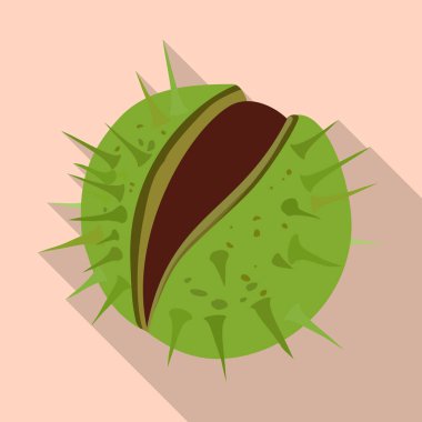 Kestane vektör simgesi. Düz vektör simgesi beyaz arkaplan kestanesi üzerinde izole edildi.