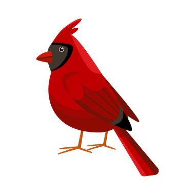 Kardinal ve kırmızı işaretin vektör tasarımı. Ağ için kardinal ve kuş stoku sembolü koleksiyonu.