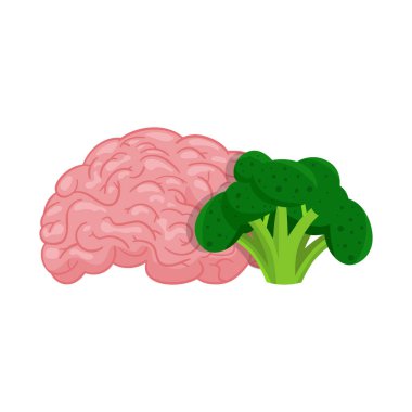 Brokoli ve beyin işaretinin vektör çizimi. Brokoli seti ve ağ için hisse senedi sembolü.