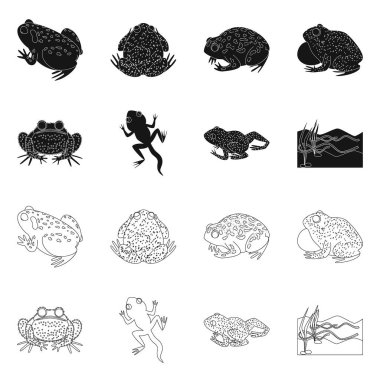 Vahşi yaşamın ve bataklık sembolünün vektör tasarımı. Stok için yaban hayatı ve sürüngen vektör simgesi kümesi.