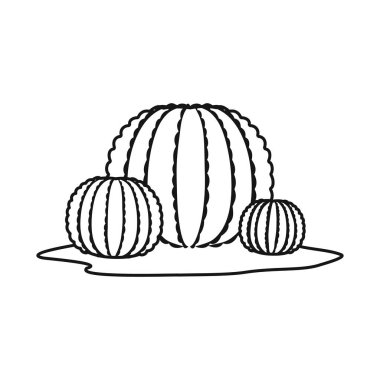 Kaktüs ve top ikonunun izole nesnesi. Kaktüs grafiği ve ağ için botanik stok sembolü.