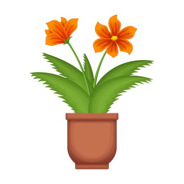 Çiçek saksısı vektör karikatür simgesi. Beyaz arkaplanda vektör illüstrasyon saksısı. Çiçek saksısının izole çizgi film illüstrasyon simgesi.