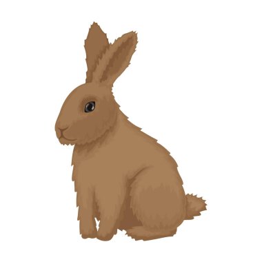 Tavşan vektör karikatür simgesi. Beyaz arka planda vektör illüstrasyon tavşanı. İzole edilmiş çizgi film resimli tavşan ikonu.