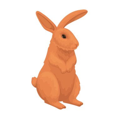 Tavşan vektör karikatür simgesi. Beyaz arka planda vektör illüstrasyon tavşanı. İzole edilmiş çizgi film resimli tavşan ikonu.