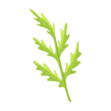 Gelincik çiçeği vektör karikatür simgesi. Beyaz arka planda vektör illüstrasyon afyon kırmızısı. Kırmızı rengin izole edilmiş çizgi film resimleme simgesi.